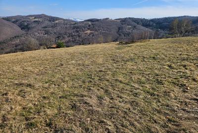 Spațiu comercial, în Damiș - 3