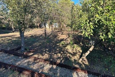 Casă cu 3 camere în Peștișu Mare - 2