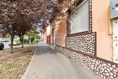 Imobil cu spatiu comercial stradal de vanzare in Arad - 1