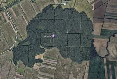 Teren zona Mosnita Padurea Bistra - 3