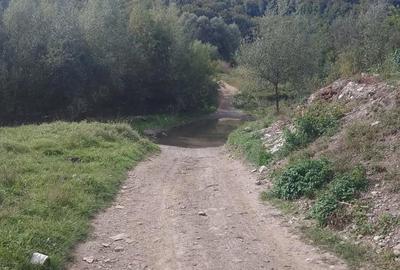 Teren de 5600 mp, în Nord - 6