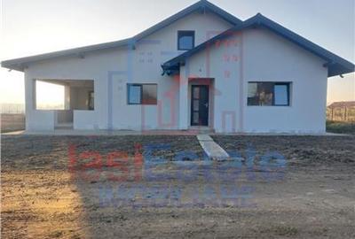 Casă cu 4 camere în Lețcani