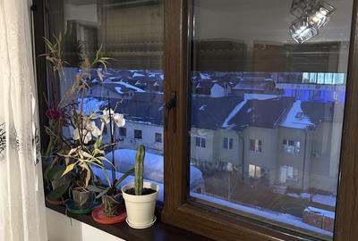 Apartament cu 2 camere decomandat în Berceni - 12