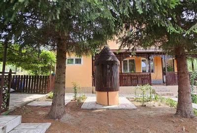 Vand casa in satul Seuca comuna Gane?ti - 6