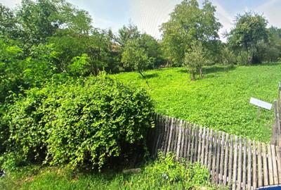 Teren Construcții intravilan de 2400 mp, în Slănic - 1