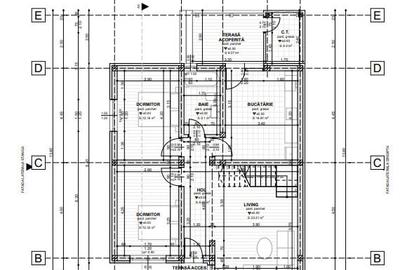 CASA INDIVIDUALA , 3 CAMERE, BECI,  PLACA DE BETON PESTE ETAJ , TOMESTI - 8