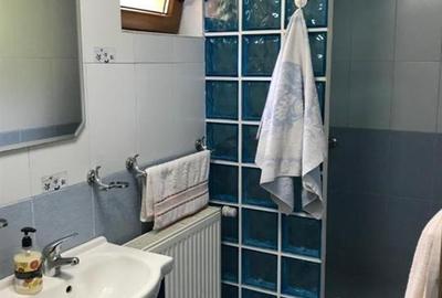 Oferta casa de vacanta P+1+M cu 1700mp teren, in Gura Raului - 44