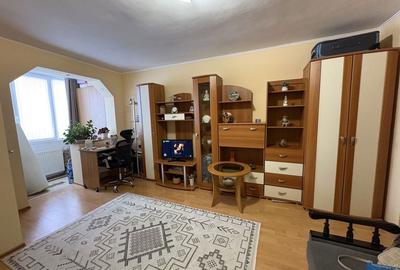 Garsonieră semidecomandată în Timișu de Jos - 4