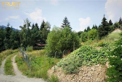 Colibita teren intravilan utilitati - 11