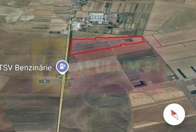 Teren 40ha Adunatii Copăceni | Industrial/ Logistic - 2