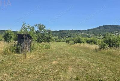 Casă cu 6 camere cu Teren 5900 Mp în Periferie - 3