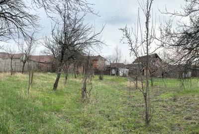 Casa din caramida si teren generos - zona linistita - 4