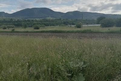 Teren de 3900 mp, în Central - 2