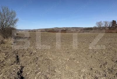 Teren de 4000 mp, în Hereclean - 1