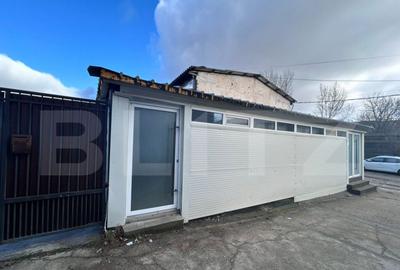 Hala industriala, 60 mp, zona Hanul Craiovitei - 10