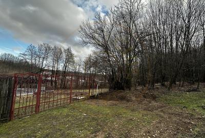 Teren Construcții intravilan de 844 mp, în Smeura - 5