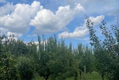 Vand casa + tenen intravilan, CUCI - 1