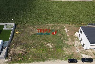 Teren Construibil in Zona Alba Micesti spre Padure - 4