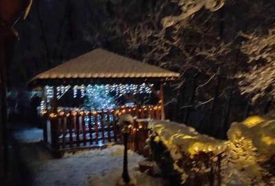 Casă cu 4 camere cu Teren 700 Mp în Lugojel - 7