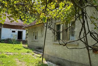 Casă cu 3 camere în Vicea - 4