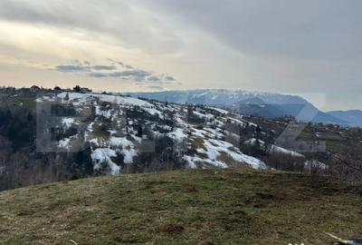 Teren de 7000 mp, în Bran - 4