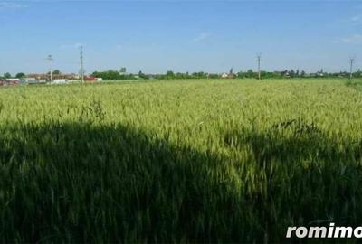 Teren de 3450 mp, în Dârza - 2