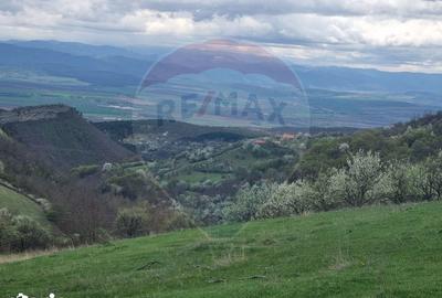 Teren de 23600 mp, în Vințu de Jos - 8