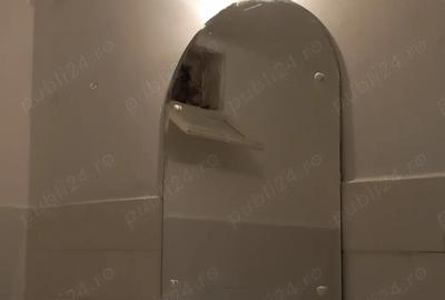 PARTICULAR Apartament 3 camere de vanzare, Titan - Auchan, zona lini?tita-ANUN? VALABIL - 8