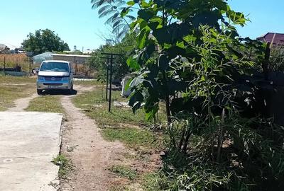 Vand casuta super oferta cite?te bine anun?ul Vand casuta super oferta cite?te bine anun?ul - 2