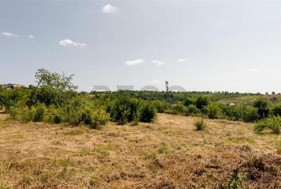 RECO Teren intravilan 1200 mp- front 30ml ,cu utilitati, Pa - 10