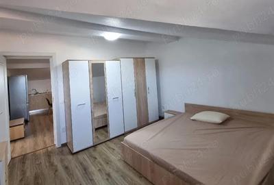 Apartament cu 2 camere semidecomandat în Central - 10