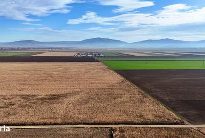 Spațiu comercial, în Prejmer - 2