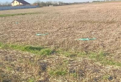 Teren de 8276 mp, în Singureni - 8