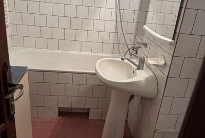 Apartament cu 2 camere decomandat în Dumbrăvița - 6