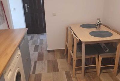 Apartament cu 2 camere decomandat, mobilat în Sub Arini