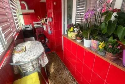 Apartament cu 3 camere decomandat, mobilat în Valea Rosie - 5