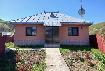 Casă cu Teren 2500 Mp în Lărguța - 1