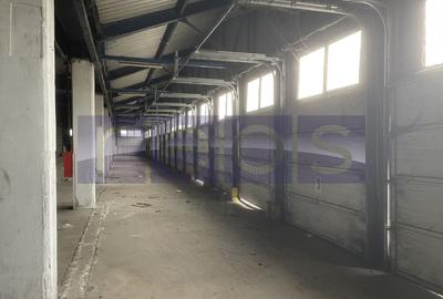 Spațiu industrial, de 19,300 mp, în Odăi - 23