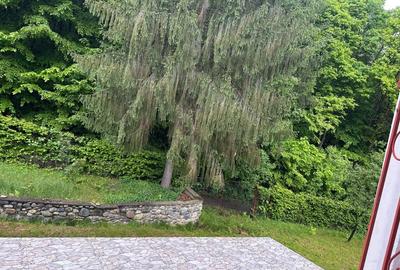 Duplex deosebit cu vedere panoramica spre munti si padure – Tocile, Sadu - 15