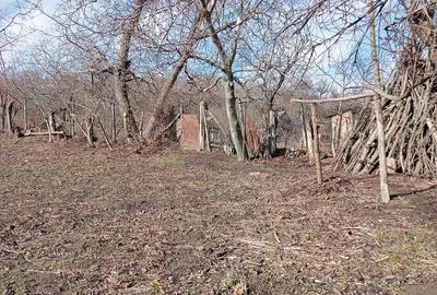 Casă cu 2 camere cu Teren 1000 Mp în Central - 5