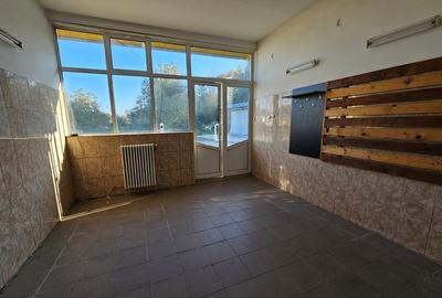 Spațiu Industrial și Comercial de Închiriat - Bascov - DN7C - 10