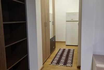 Apartament cu 2 camere semidecomandat, mobilat în Tudor Vladimirescu - 7