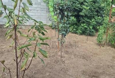 Apartament 1 camera-Centrala-Elisabetin-Curte Apartament 1 camera-Centrala-Elisabetin-Curte - 5