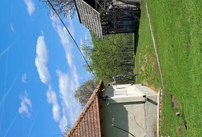 Teren de 10000 mp, în Tomșani - 8