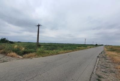 Teren agricol intravilan de 100000 mp, în Beregsău Mic