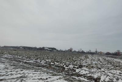 Spațiu comercial, în Socodor - 1