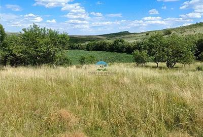 Teren intravilan de vanzare ideal pentru investitie - 1