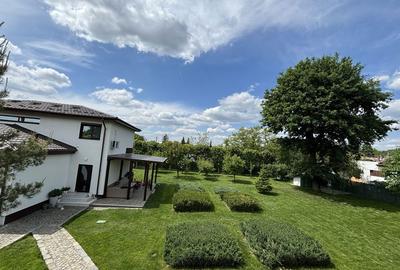 Spațiu comercial, în Joița - 6