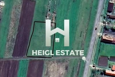 Teren intravilan Pischia - 1