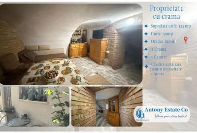Proprietate cu crama, Ultracentral, casa de vanzare, Oradea, Bihor - 5